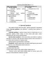 Referāts 'Uzņēmuma līdzekļi un to finansēšana', 9.