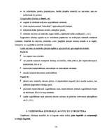 Referāts 'Uzņēmuma līdzekļi un to finansēšana', 14.