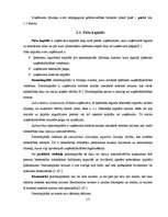 Referāts 'Uzņēmuma līdzekļi un to finansēšana', 15.