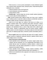 Referāts 'Uzņēmuma līdzekļi un to finansēšana', 16.