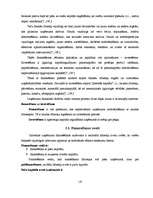 Referāts 'Uzņēmuma līdzekļi un to finansēšana', 19.