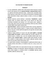 Referāts 'Uzņēmuma līdzekļi un to finansēšana', 29.