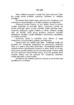 Referāts 'Darba vadīšana', 3.