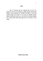 Referāts 'Ceļojuma maršruts 12 dienām pa Itāliju', 3.