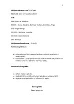 Referāts 'Ceļojuma maršruts 12 dienām pa Itāliju', 5.