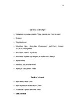 Referāts 'Ceļojuma maršruts 12 dienām pa Itāliju', 33.