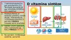 Prezentācija 'D vitamīna veidošanās organismā', 4.