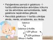 Prezentācija 'Galaktozēmija', 5.