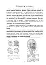 Referāts 'Sēklas vispārīgs raksturojums un sēklas sagatavošana sējai', 2.