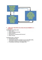 Konspekts 'Starptautiskā un globālā komunikācija. Eksāmena tēmu atbildes', 6.