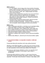 Konspekts 'Starptautiskā un globālā komunikācija. Eksāmena tēmu atbildes', 11.