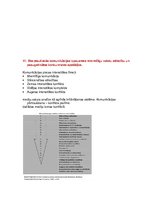 Konspekts 'Starptautiskā un globālā komunikācija. Eksāmena tēmu atbildes', 16.