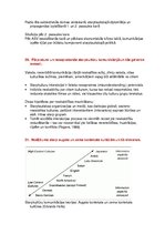 Konspekts 'Starptautiskā un globālā komunikācija. Eksāmena tēmu atbildes', 19.