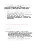 Konspekts 'Starptautiskā un globālā komunikācija. Eksāmena tēmu atbildes', 20.