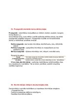 Konspekts 'Starptautiskā un globālā komunikācija. Eksāmena tēmu atbildes', 23.