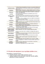 Konspekts 'Starptautiskā un globālā komunikācija. Eksāmena tēmu atbildes', 24.