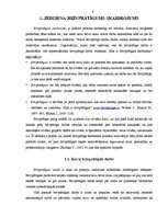 Diplomdarbs 'Brīvprātīgais darbs kā vērtība sabiedrības skatījumā', 8.