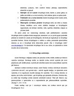 Diplomdarbs 'Brīvprātīgais darbs kā vērtība sabiedrības skatījumā', 13.