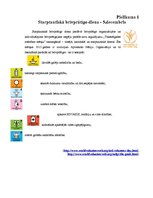 Diplomdarbs 'Brīvprātīgais darbs kā vērtība sabiedrības skatījumā', 64.