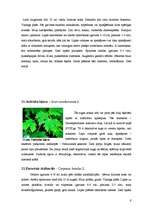 Referāts 'Dendroloģiskās takas izveide Liepājas Jūrmalas parkā', 9.