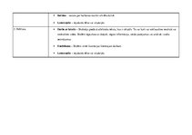 Konspekts 'Literatūras metodika sākumskolā', 9.