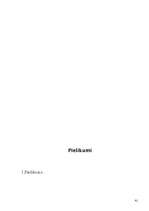 Referāts 'Streetrace un auto jaunumi', 41.