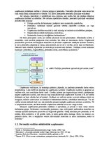 Referāts 'Personāla vadītāja loma un kompetence', 5.