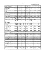 Diplomdarbs 'Uzņēmuma SIA "Med Pro Inc" finansiālās darbības analīze un pilnveidošana', 20.