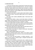 Diplomdarbs 'Uzņēmuma SIA "Med Pro Inc" finansiālās darbības analīze un pilnveidošana', 34.