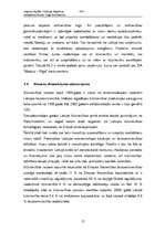 Referāts 'Uzņēmuma SIA “Moduls- Rīga” darbības analīze', 12.