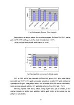 Referāts 'Ģimenes investīcijas bērnu izglītībā', 13.