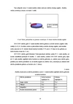 Referāts 'Ģimenes investīcijas bērnu izglītībā', 19.