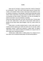 Referāts 'Sociālās normas', 1.