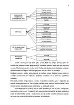 Referāts 'Sociālās normas', 6.