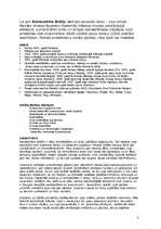 Referāts 'Konstantīns Grčičs', 10.