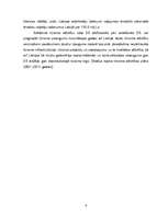 Biznesa plāns 'Biznesa plāns tūrisma uzņēmumam "Blanko"', 6.