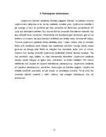 Biznesa plāns 'Biznesa plāns tūrisma uzņēmumam "Blanko"', 12.