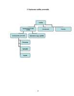 Biznesa plāns 'Biznesa plāns tūrisma uzņēmumam "Blanko"', 13.