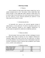 Biznesa plāns 'Biznesa plāns tūrisma uzņēmumam "Blanko"', 15.