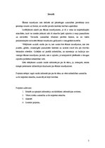 Referāts 'Ēšanas traucējumi', 3.