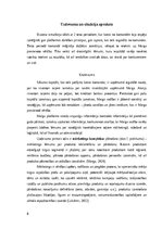 Prakses atskaite 'Prakses atskaite', 8.