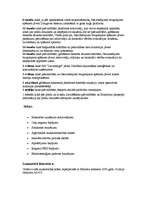 Referāts 'Dambja pārrāvums Ķeguma HES', 3.