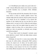 Eseja '"Mazais princis"', 5.