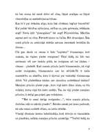 Eseja '"Mazais princis"', 6.