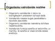 Prezentācija 'Organismu vairošanās, augšana un individuālā attīstība. Bezdzimumvairošanās, dzi', 2.