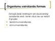 Prezentācija 'Organismu vairošanās, augšana un individuālā attīstība. Bezdzimumvairošanās, dzi', 3.