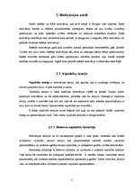 Referāts 'Darbinieku motivācija', 7.