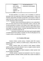 Referāts 'Darbinieku motivācija', 10.