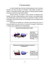 Referāts 'Darbinieku motivācija', 13.