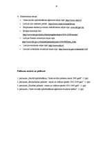 Referāts 'Valsts sociālās apdrošināšanas obligātās iemaksas', 28.